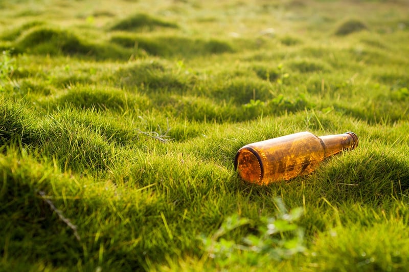 Environmental DIY